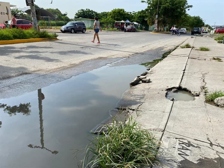 Vecinos de Lagos de Puente Moreno denuncian drenajes en mal estado con agua sucia