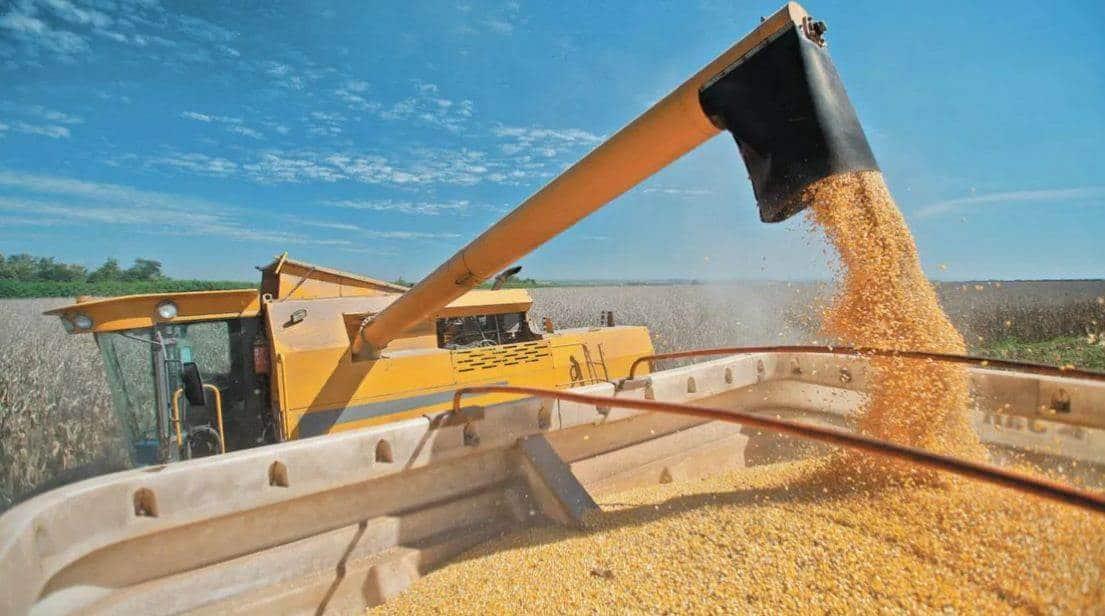 Rusia y Ucrania discuten posible exportación de cereales