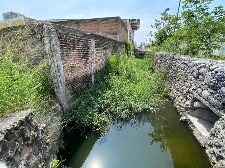 Entre maleza e inseguridad, así viven habitantes en colonia Las Amapolas en Veracruz