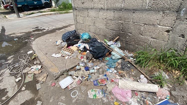 Entre maleza e inseguridad, así viven habitantes en colonia Las Amapolas en Veracruz