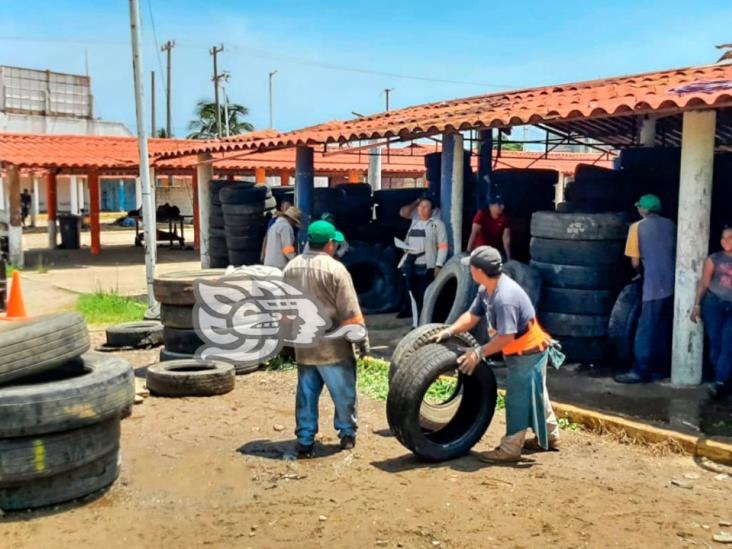 Más de 8 mil llantas han dejado de contaminar Coatzacoalcos