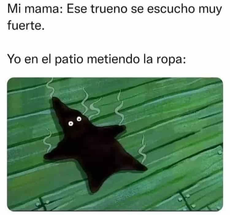 Estos son los mejores memes del mega apagón en Veracruz