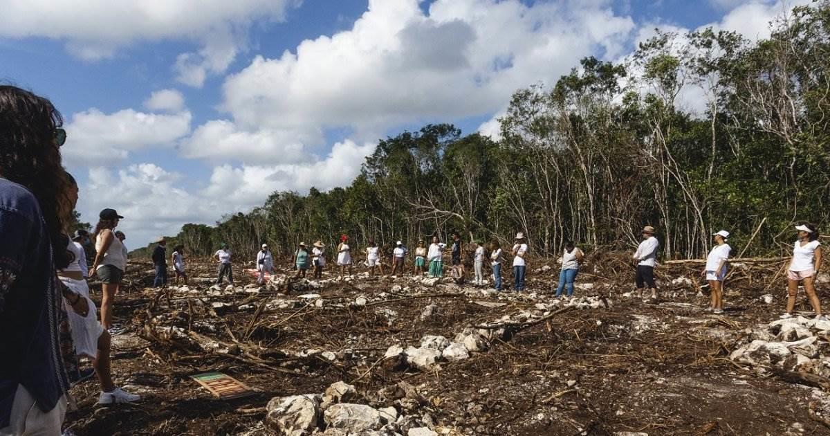 Le quitan contrato a Grupo México para el tramo 5 del Tren Maya