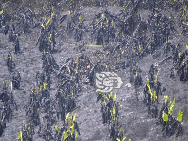 Acuerdan apoyos y limpieza en El Aguacate de Papantla