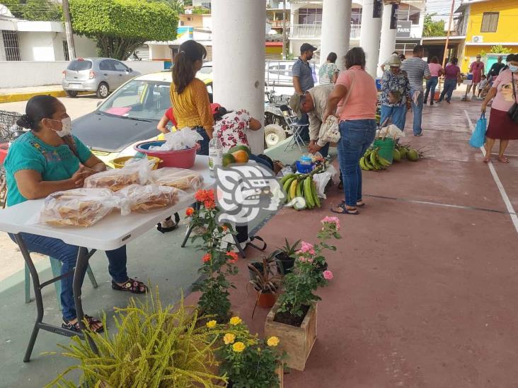 Ofrecen productos recién cosechados en mercado campesino de Moloacán