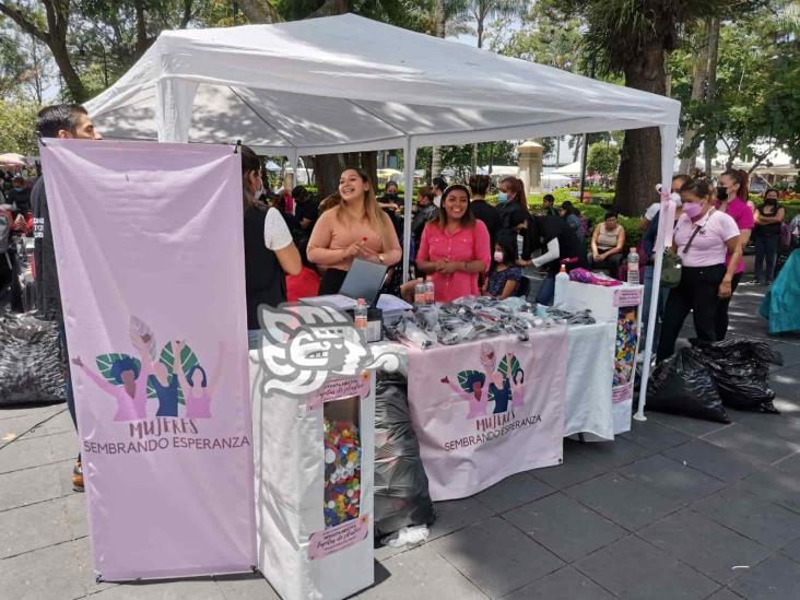 Trenzas para todas: donan cabello para pelucas oncológicas, en Xalapa