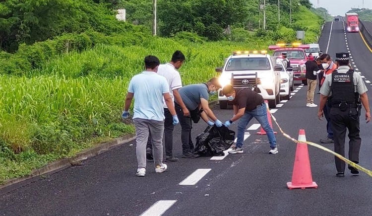 Conductor de tractocamión atropella a motociclistas en la autopista Cardel - Veracruz