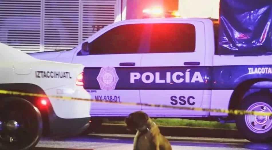 Hombre muere atropellado y su perro resguarda el cuerpo por horas