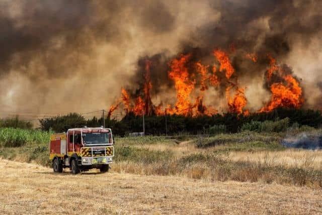 El mundo vivirá olas de calor hasta 2060