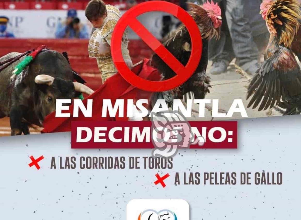 Animalistas se pronuncian contra corridas de toros y peleas de gallos en Misantla