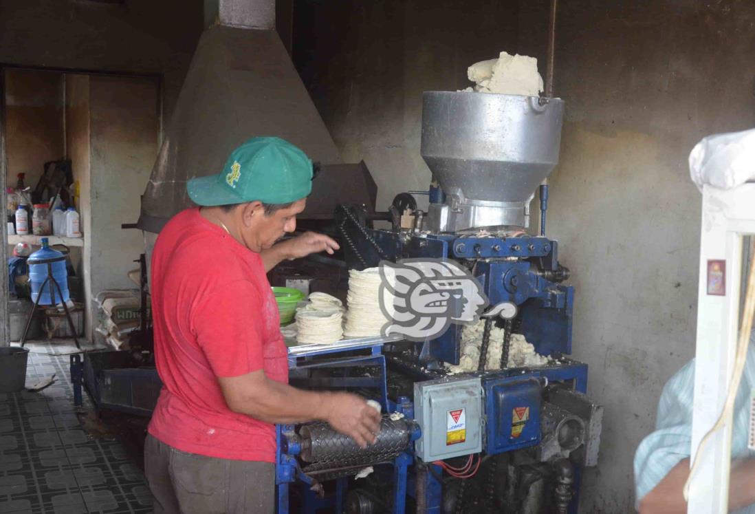 Hasta en 26 pesos se vende el kilo de tortillas en Agua Dulce