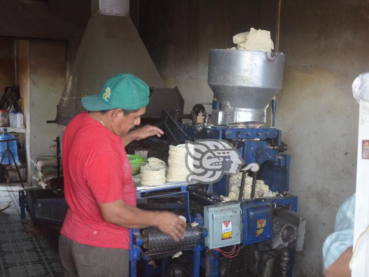 Hasta en 26 pesos se vende el kilo de tortillas en Agua Dulce