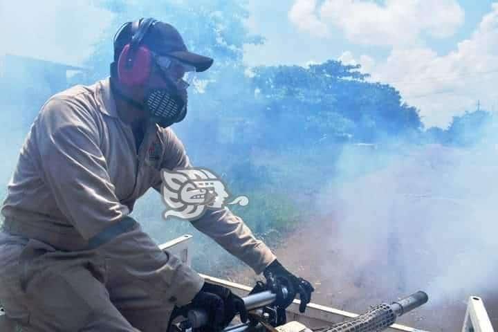 Fumiga cinco colonias contra el dengue en Cosoleacaque