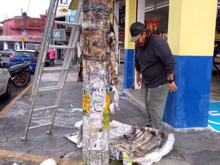 ¡Ojo! En Xalapa multarán a quienes coloquen publicidad sin permiso