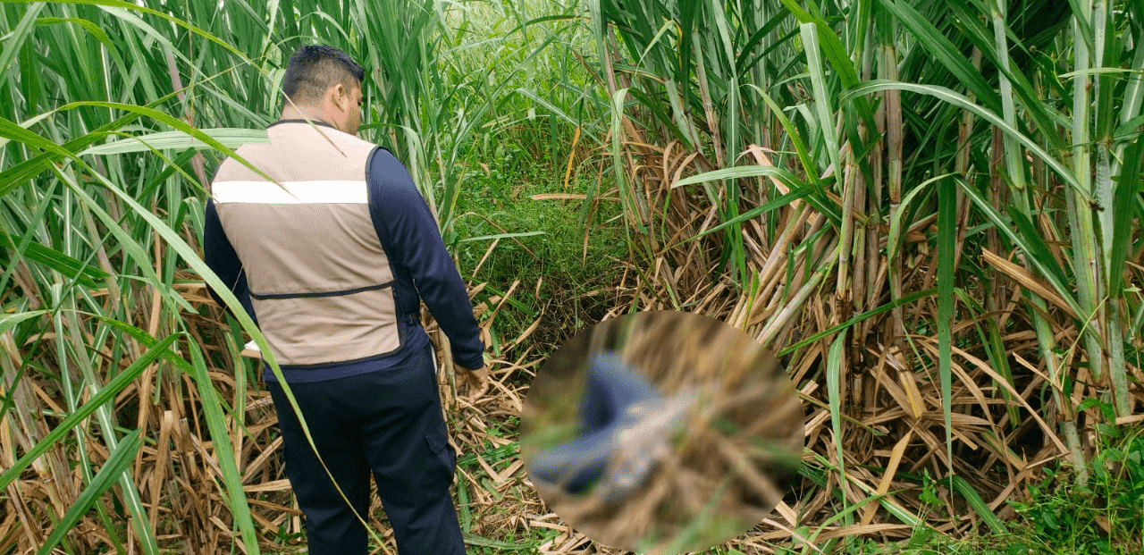 Hombre muere de un infarto cuando realizaba labores en el campo en Cosamaloapan