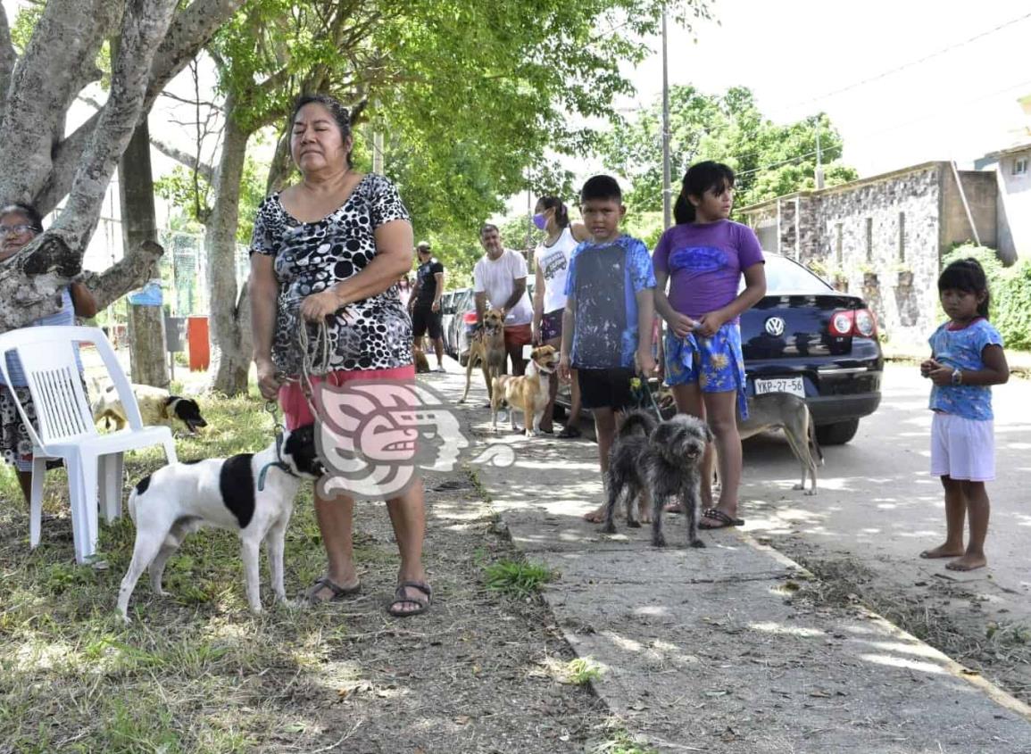 Arranca jornada de vacunación antirrábica en Coatzacoalcos