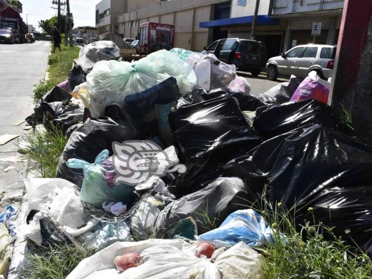 Más de 7 días lleva acumulada basura en avenida de Coatzacoalcos