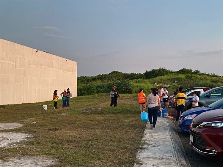 Faltan voluntarios para salvar cangrejos en la Riviera Veracruzana