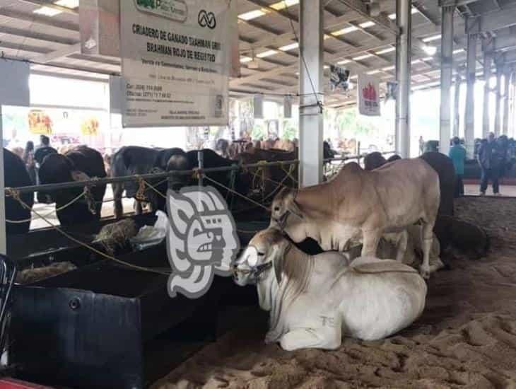 Producción de leche dejó de ser negocio: Jacob Velasco