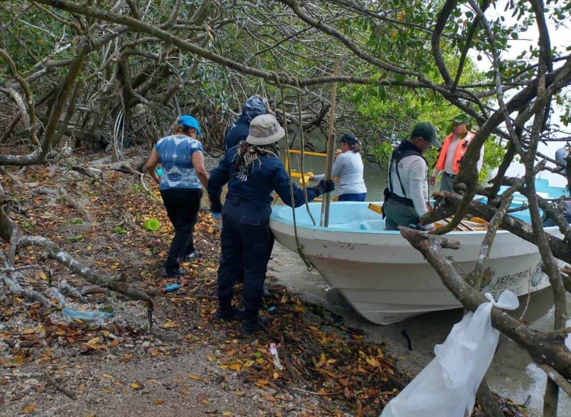 Colectivo Solecito de Veracruz pausa búsqueda de restos humanos en fosas de Arbolillo