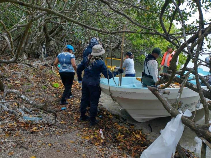 Colectivo Solecito de Veracruz pausa búsqueda de restos humanos en fosas de Arbolillo