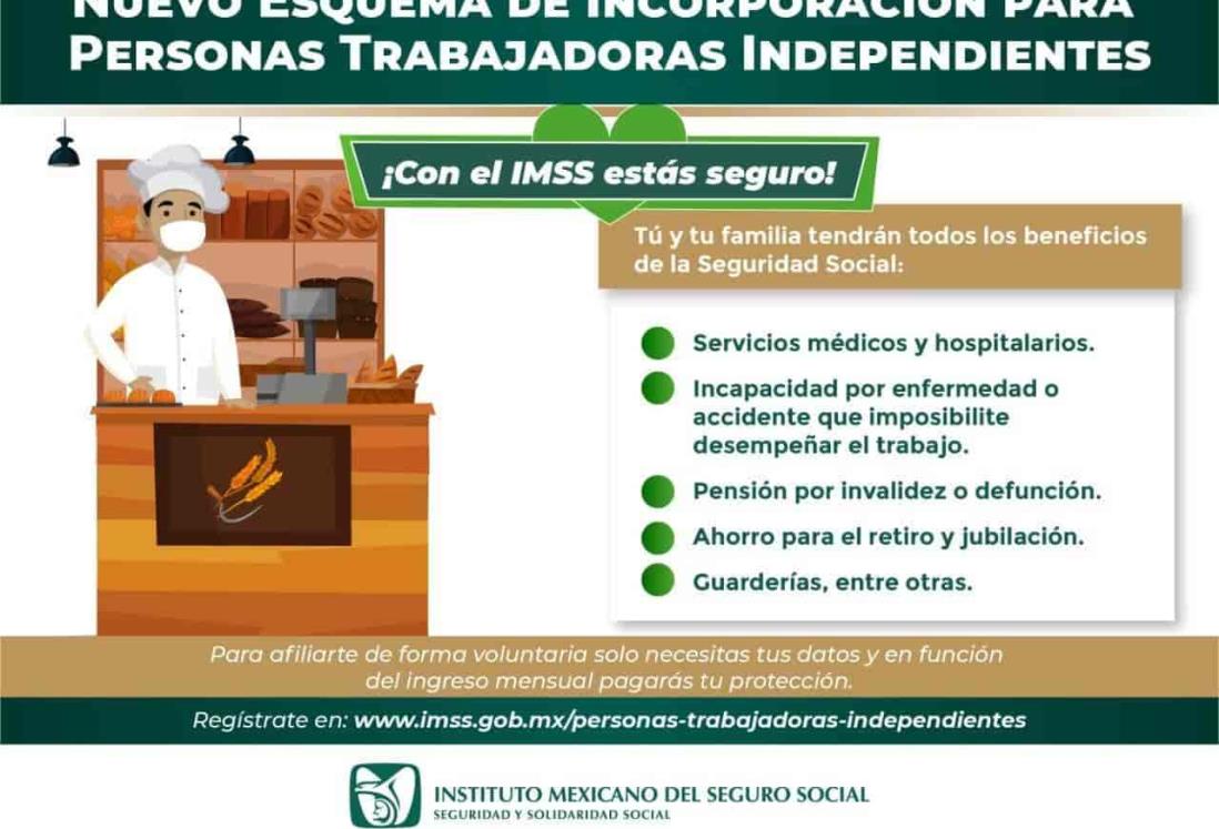 Invita IMSS Veracruz Sur a trabajadores independientes a afiliarse