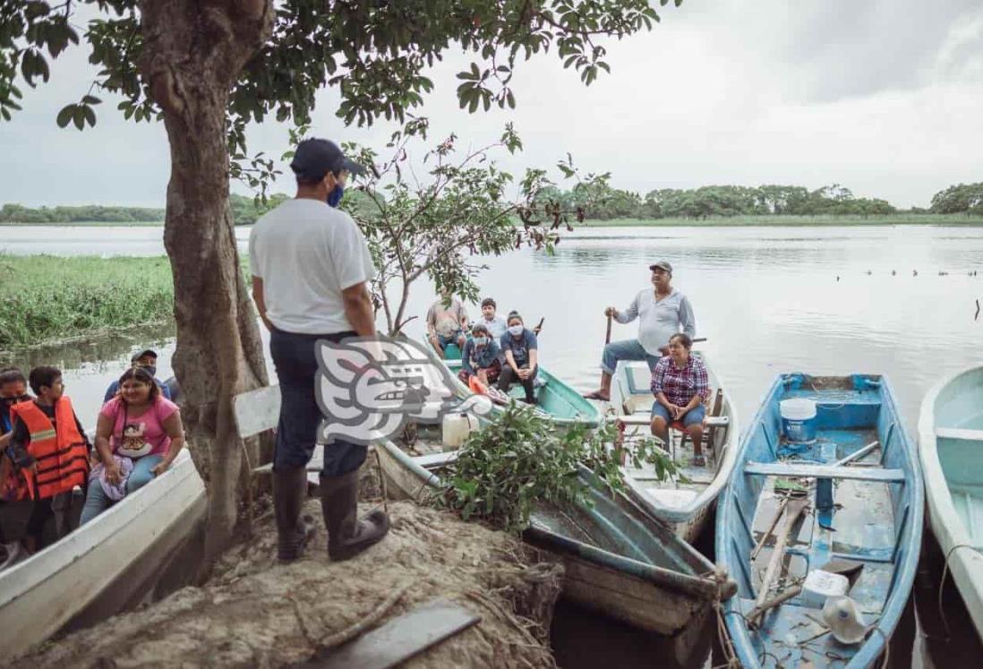 Llaman a hacer conciencia sobre protección de manglares en Coatzacoalcos