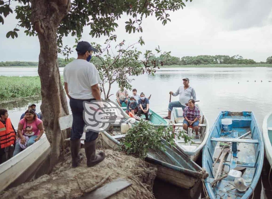 Llaman a hacer conciencia sobre protección de manglares en Coatzacoalcos