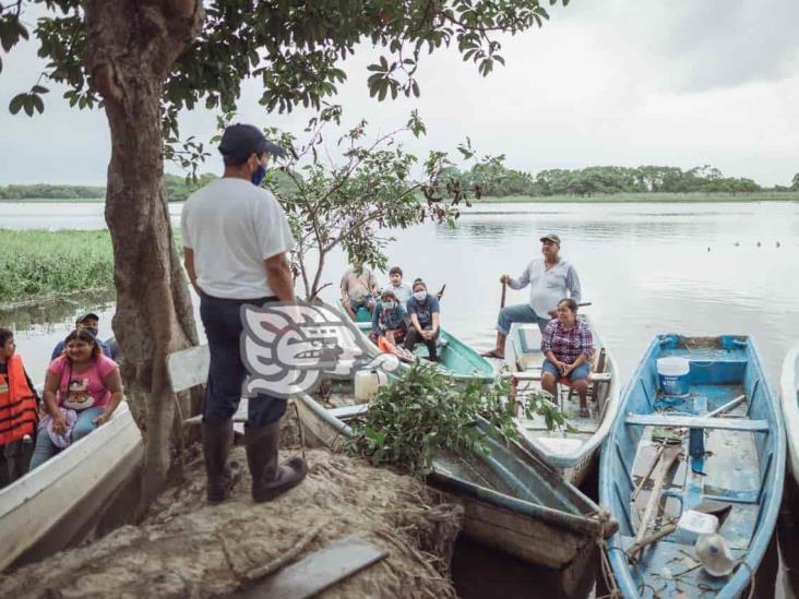 Llaman a hacer conciencia sobre protección de manglares en Coatzacoalcos