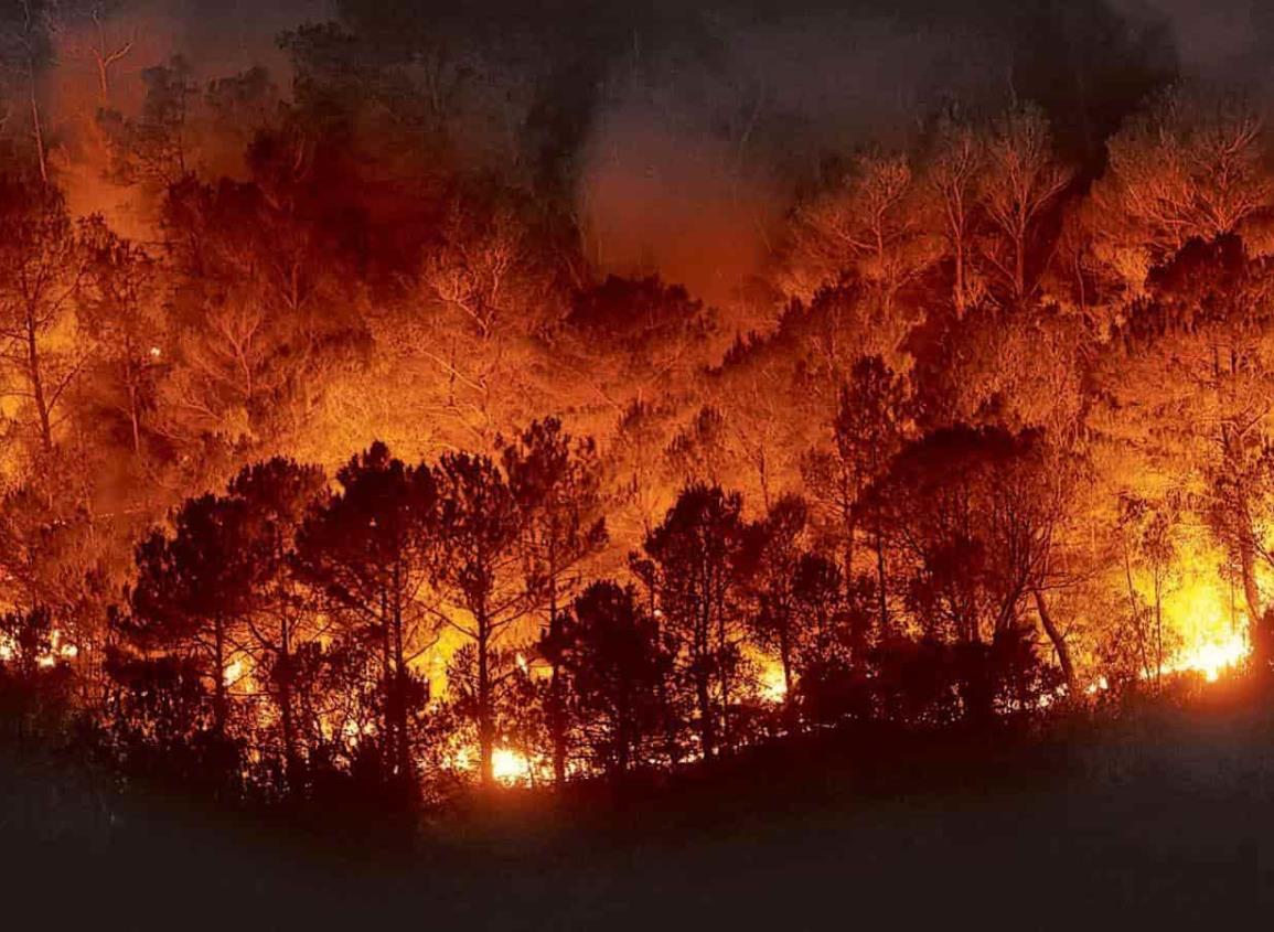 Contaminantes en el agua de las cuencas incrementa tras incendios forestales