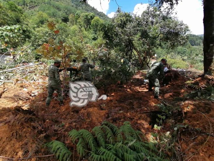 (+Video) Ante afectaciones en Tequila, Sedena realiza labores de limpieza