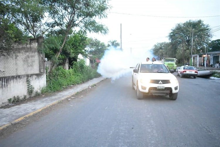 Continúan las jornadas de fumigación en Úrsulo Galván