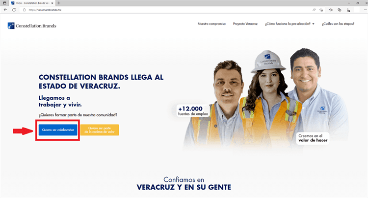 ¿Buscas empleo o ser proveedor de Constellation Brands en Veracruz? Te decimos cómo