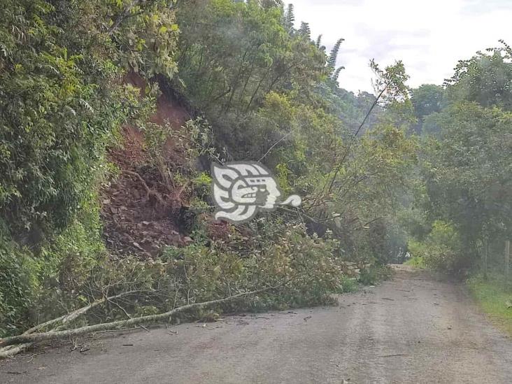 Derrumbes en Zongolica mantienen incomunicadas a 300 familias