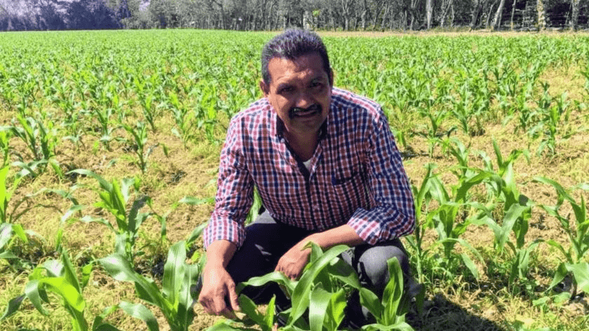 Juez ordena la libertad inmediata de Pasiano Rueda