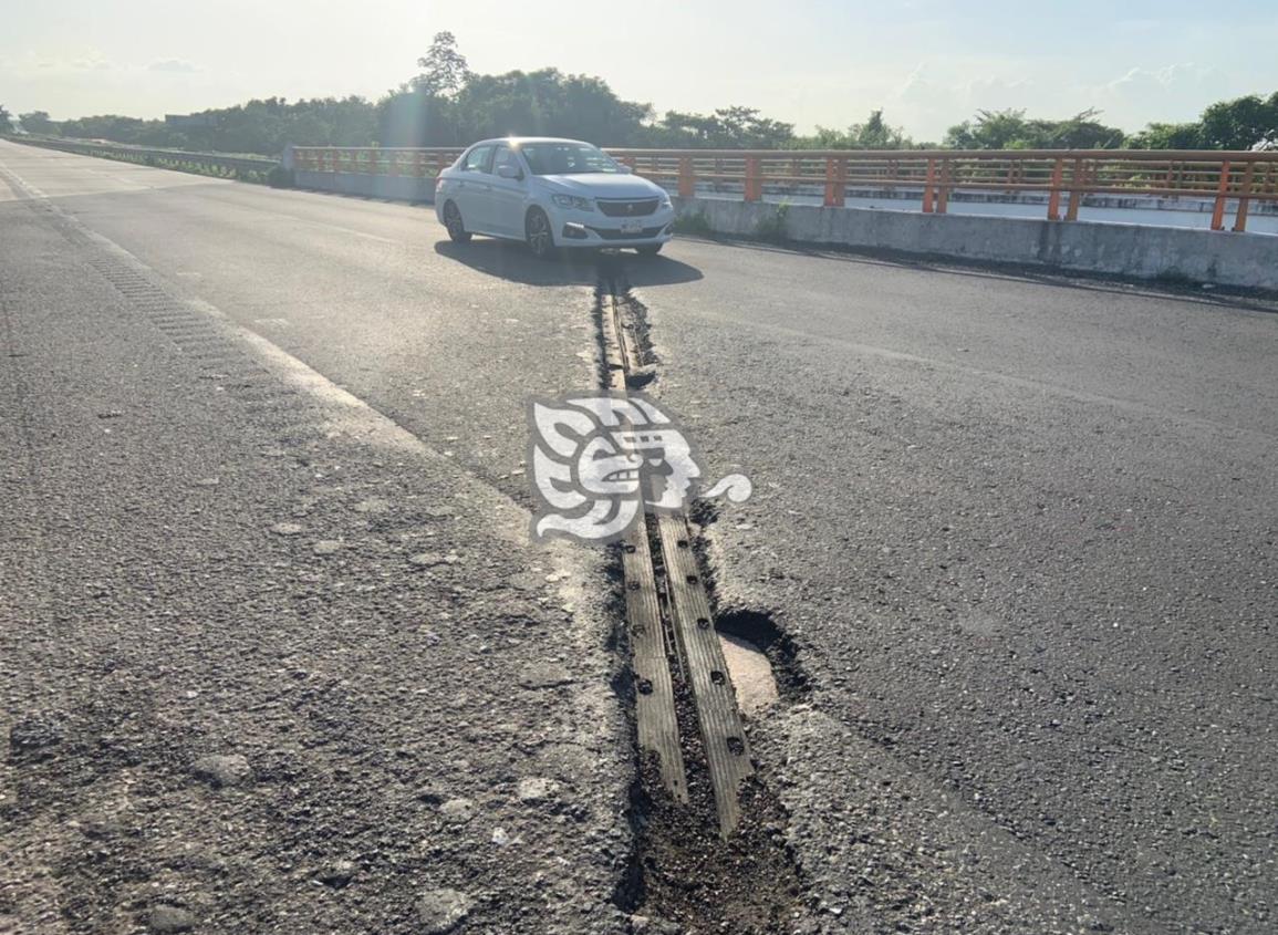 Peligro en la autopista por agujeros en los puentes pasa ganado