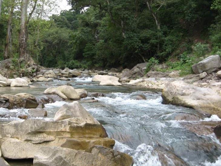 Grupo criminal busca el control del agua de riego en montañas de Guerrero