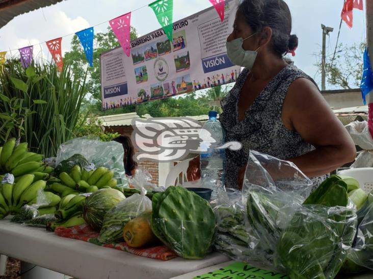 Benefician a productores de Tihuatlán; realizan venta