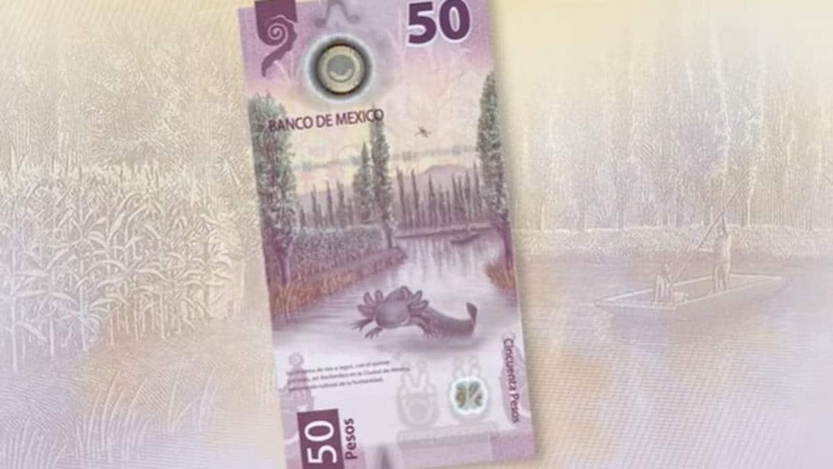 ¿Lo tienes? Venden el “billete del ajolote” hasta en 100 mil pesos