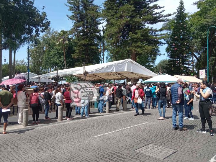 Multitud votó en elecciones internas de Morena, en Xalapa (+Video)