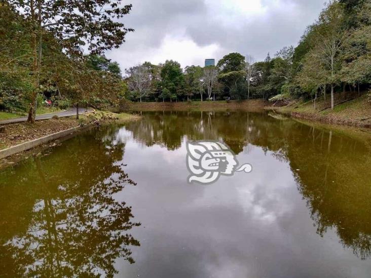 Autoridades desprecian reclamos de xalapeños ante abandono del Parque Natura