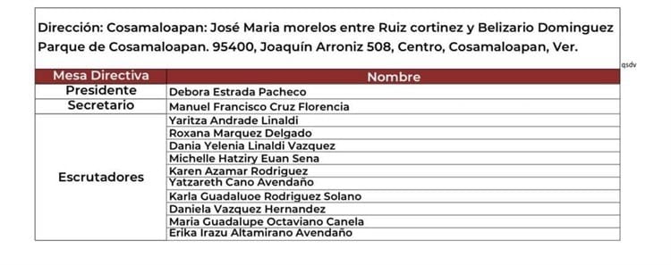 Gran afluencia en elección de delegados de Morena en Cosamaloapan