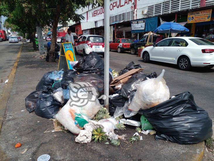 (+Video) Mala condición de unidades afecta recolección de basura 