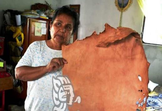 (+Video) Amalia convierte en arte la piel de nutria, serpientes y lagartos