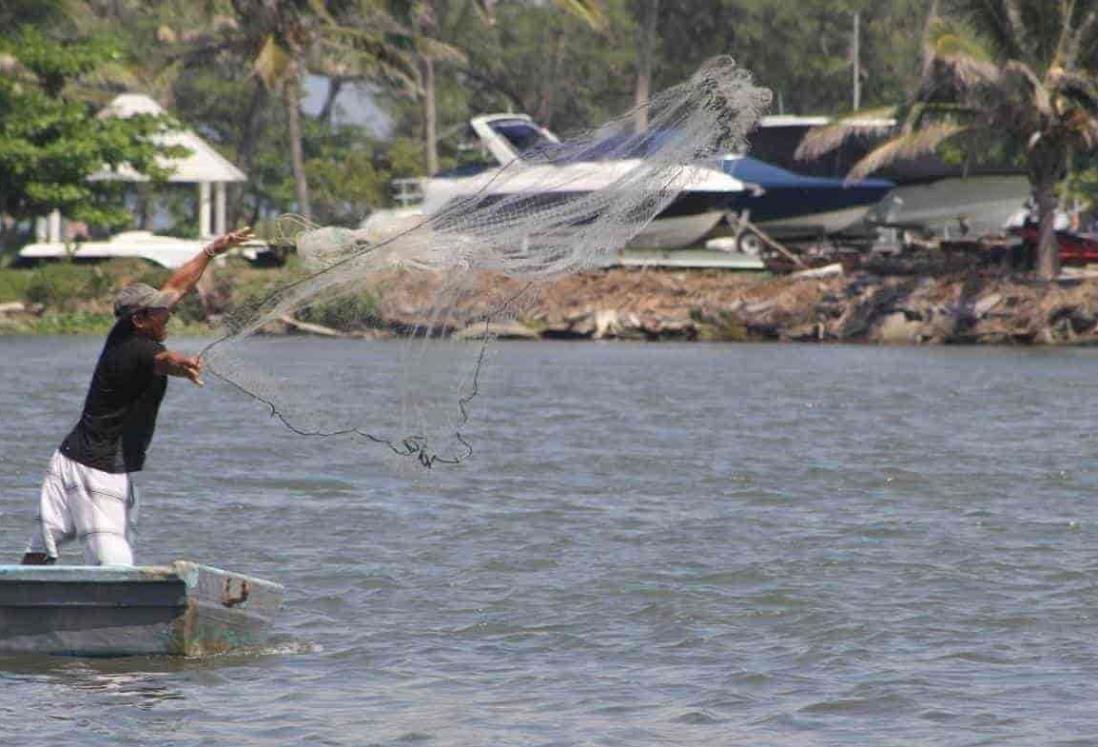 Vedas impactan a familias de pescadores en Veracruz