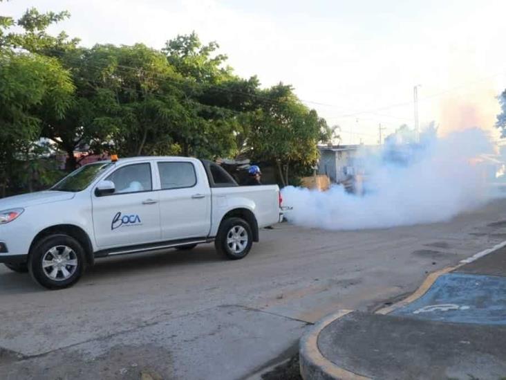 Inician fumigación contra dengue en colonia Miguel Alemán en Boca del Río