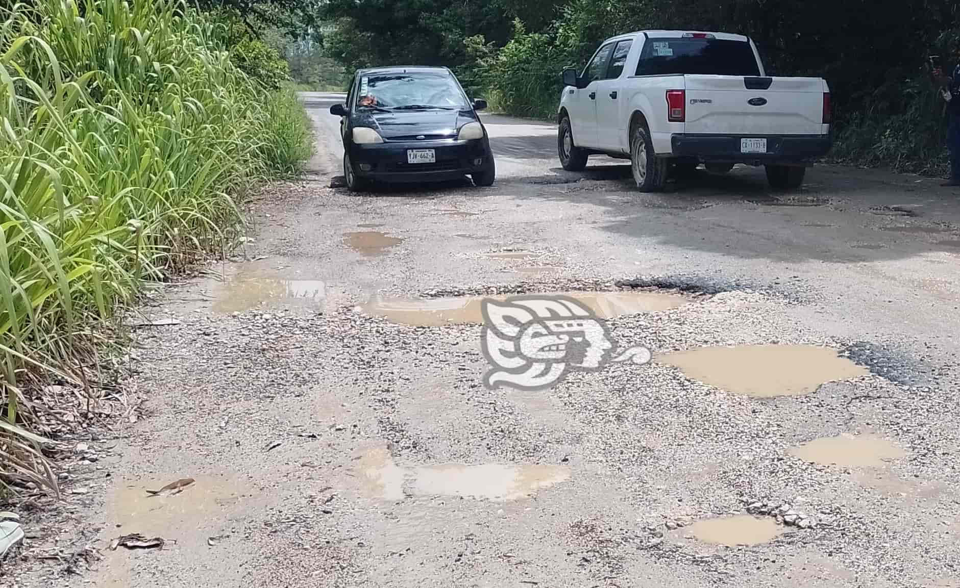 (+Video) Camiones pesados dejan cráteres en carretera Agua Dulce-Nuevo Teapa