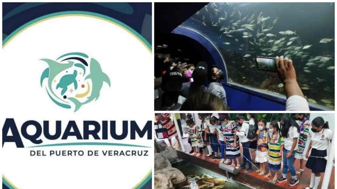 Te decimos cómo conseguir boletos gratis para entrar al Aquarium de Veracruz