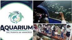 En próximos días podría anunciarse el Consejo Administrativo del Aquarium de Veracruz