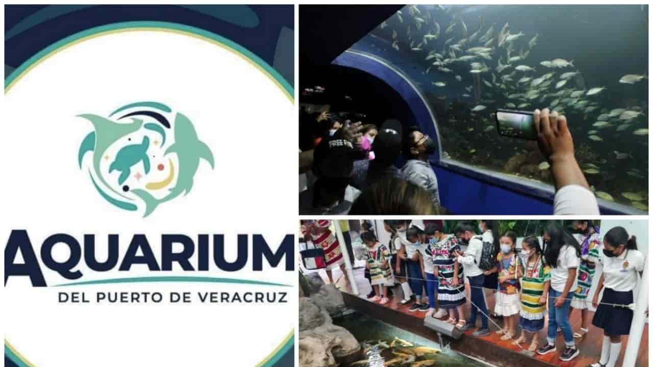 Prevén recaudar 10 mdp en cena gala para invertir en Aquarium de Veracruz